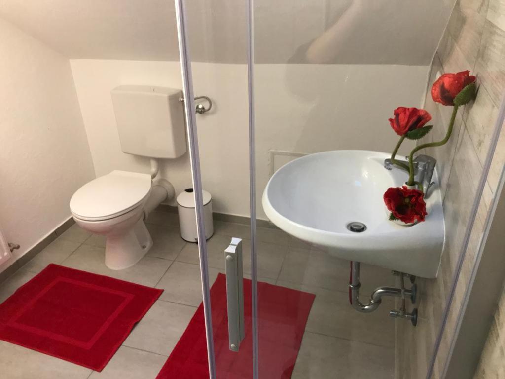 Haus Astenblick In Winterberg Fuer Bis Zu 35 Personen Fuer Wanderveranstaltungen Und Familienfeiern Esterno foto