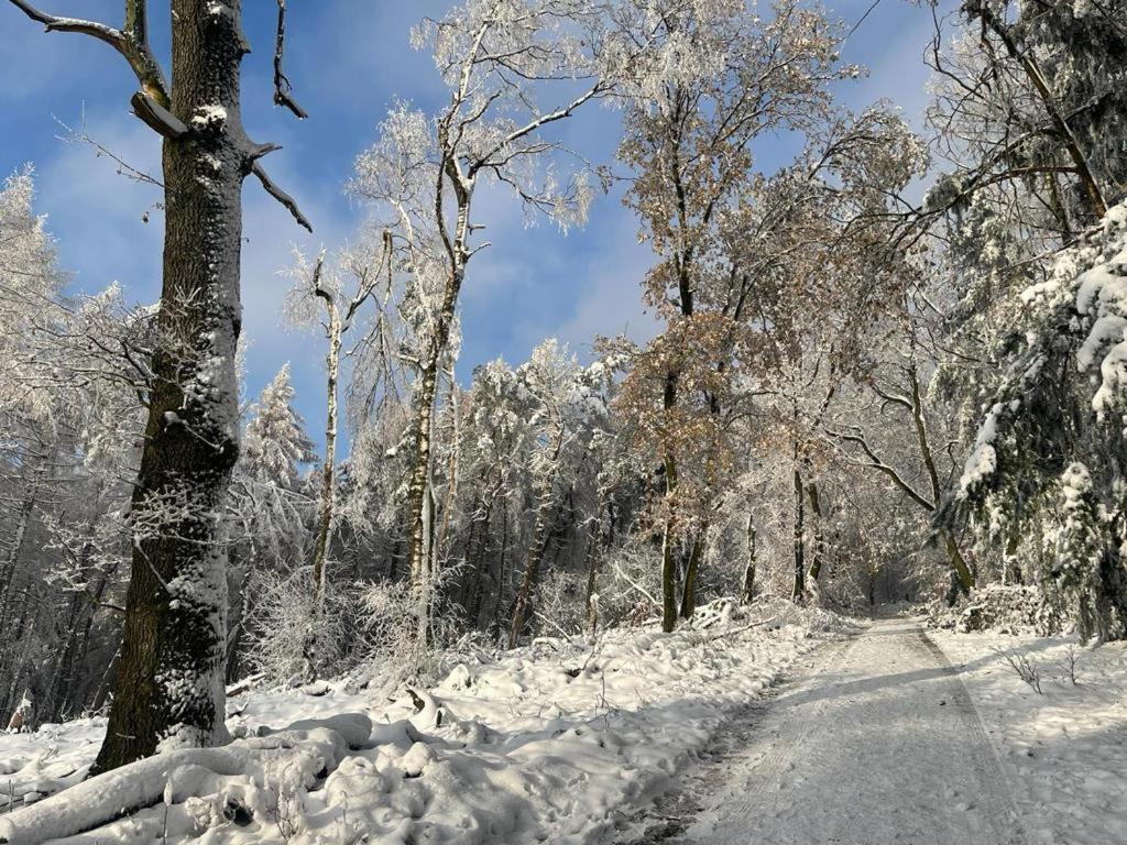 Haus Astenblick In Winterberg Fuer Bis Zu 35 Personen Fuer Wanderveranstaltungen Und Familienfeiern Esterno foto